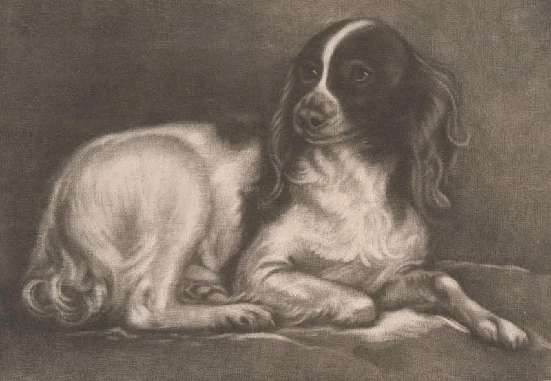Charles II (1630-1685) Plumbing, Liberal bathroom policies, Henry VIII (1491-1547), The royal court, Palace hopping, Unbearable smells, Henry the Health Inspector, A very expensive napkin, Charles II (1630-1685), Olfactory distractions, Rags and riches, Marie Antoinette (1755-1793), Louis XIV (1638-1715), Health and hygiene, Royal habits
