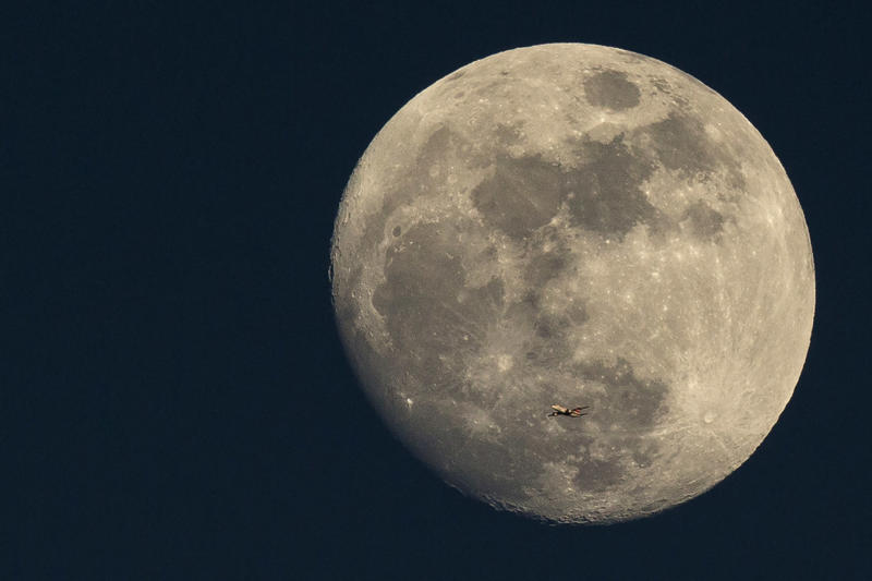 How was the moon formed? How was the moon formed?, Tides would be smaller, The tides would be controlled by the sun, The Earth’s axis would change, Pitch black nights, Our planet would spin faster, There would be no eclipses, Creatures of the night, The oceans' levels would change, Moon shield, Aquatic animals' reproduction, There would be no space race, Moon cycles and menstruation, What if the moon exploded?