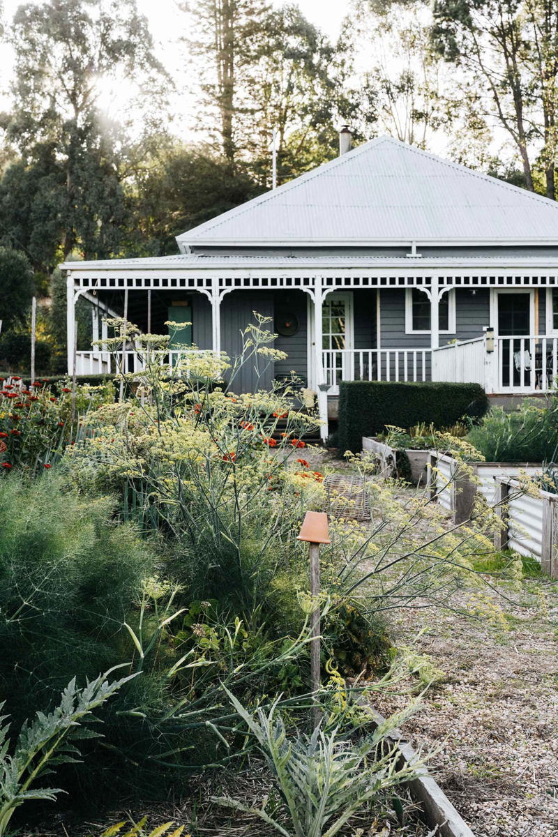 24 of best country home facades,      The wild and windswept weatherboard   ,      The remote coastal cottage   ,      The storybook countryside home    ,      The historic Georgian homestead    ,      The salvaged dream home   ,      The historic shearers’ quarters   ,      The renovated white farmhouse   ,      The sweet, romantic cottage   ,      The fire-resistant new build   ,      The gable-roofed cottage   ,      The antique-packed cottage   ,      The luxe, rustic beach shack   ,      The idyllic family farm   ,      The black barn farm   ,      The cosy blue beach house   ,      The beloved family weatherboard    ,      The little red barn   ,      The cottage and flower farm   ,      The charming mountain homestead   ,      The divine renovated church   ,      The grand old station   ,      The historic Ballarat homestead   ,      The multi-generational family farmhouse   ,      The rustic holiday home   