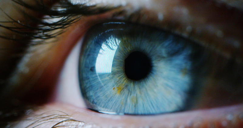 Looking beyond Looking beyond, Alternative methods, Lost in translation, Conflict foreshadowing, New discovery, Who was he?, Vision and sound, Low's predictions, Going granular, Mobile phones, Renewable energy, Cinematic experience, Clothing