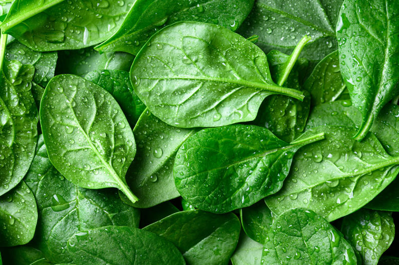 In your 20s: foods with protein, In your 20s: complex carbohydrates, In your 20s: calcium-rich foods, In your 20s: iron-rich foods, In your 30s: bok choy, In your 30s: fatty fish, In your 40s: bright fruits and vegetables, In your 40s: whole grains, In your 50s: high-fiber vegetables, In your 50s: turmeric, In your 50s: plant-based protein, In your 50s: eggs, In your 60s and beyond: olive oil, In your 60s and beyond: berries