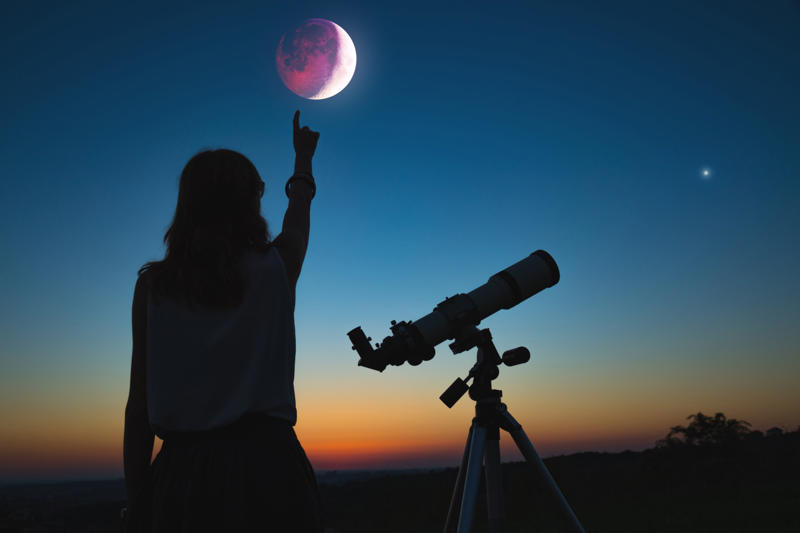 There would be no eclipses How was the moon formed?, Tides would be smaller, The tides would be controlled by the sun, The Earth’s axis would change, Pitch black nights, Our planet would spin faster, There would be no eclipses, Creatures of the night, The oceans' levels would change, Moon shield, Aquatic animals' reproduction, There would be no space race, Moon cycles and menstruation, What if the moon exploded?