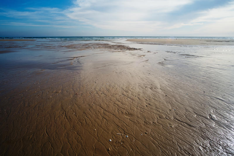 Tides would be smaller How was the moon formed?, Tides would be smaller, The tides would be controlled by the sun, The Earth’s axis would change, Pitch black nights, Our planet would spin faster, There would be no eclipses, Creatures of the night, The oceans' levels would change, Moon shield, Aquatic animals' reproduction, There would be no space race, Moon cycles and menstruation, What if the moon exploded?