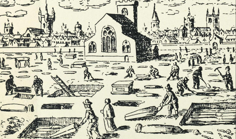 What was the Black Death?, Black rat, Outbreak, Spread to Italy, The Black Death arrives in France, Iberia infected, The plague visits the Holy Roman Empire, Germany infected, The plague and pogroms, Scandinavia succumbs, The bacterium spreads beyond Europe, Suffering the Black Death, Crude treatments, Burying the dead, Aftermath, Digging up the past