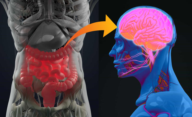 The importance of the gut Our prehistoric roots, Taste of survival, The reward system, A new landscape, The modern diet, Building tolerance, Food addiction, Reduced self-control, Prefrontal cortex, Time to repair, Blood sugar levels and mood, What can we do?, It gets easier, Be wary of certain health foods, Avoid low-fat products, You can do it!