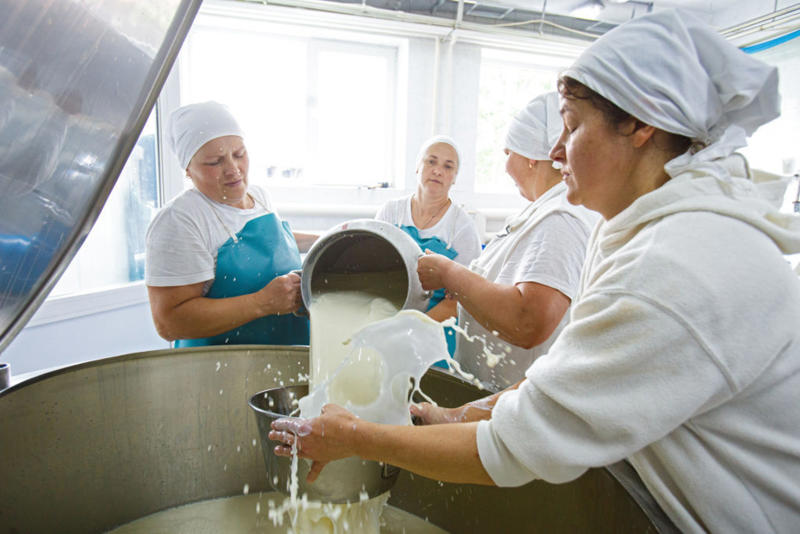 Trademark, Source product, Beginning with diet, Nutritious and colorful, Milk tint, Here comes the tone, Why so white?, Seasonal impact, Butter vs. cheese, Cheese glow-up, Not sustainable, Natural treasure, Cheese dye, We keep tinting, Personal preference