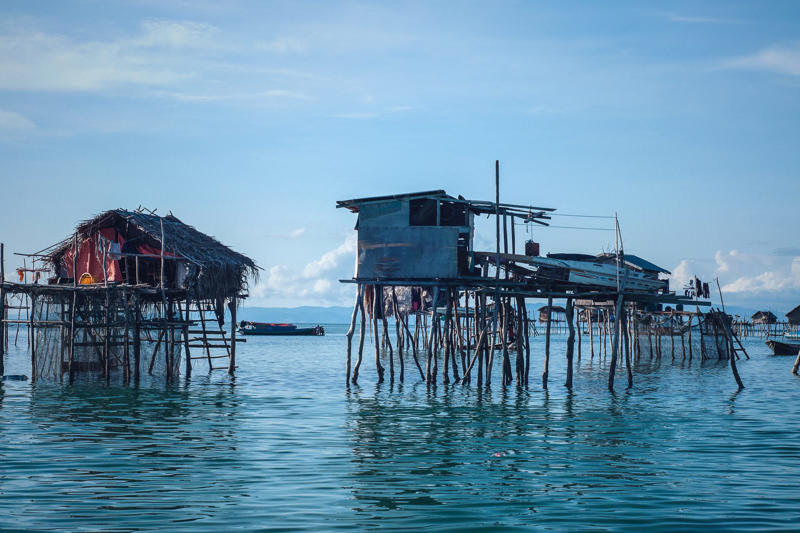 Visit to Indonesia A genetic mutation that greatly benefits them, The Bajau: a people of the waters, Science and genetic evolution of the Bajau, The Bajau dive in search of fish, Little time on dry land, The Bajau and their ability to hold their breath, The spleen, Why study the spleen?, The spleen of marine mammals, Visit to Indonesia, The Bajau spleen is bigger, Spleens of similar dimensions, A genetic evolution, When did this development occur?, The Bajau population, On the margins of society, The fishing industry is a threat, Why study the spleen in this population?, Acute hypoxia