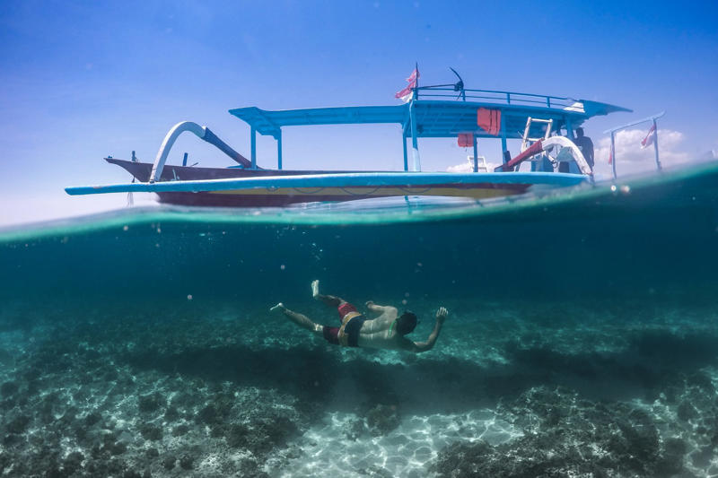 The Bajau: a people of the waters A genetic mutation that greatly benefits them, The Bajau: a people of the waters, Science and genetic evolution of the Bajau, The Bajau dive in search of fish, Little time on dry land, The Bajau and their ability to hold their breath, The spleen, Why study the spleen?, The spleen of marine mammals, Visit to Indonesia, The Bajau spleen is bigger, Spleens of similar dimensions, A genetic evolution, When did this development occur?, The Bajau population, On the margins of society, The fishing industry is a threat, Why study the spleen in this population?, Acute hypoxia