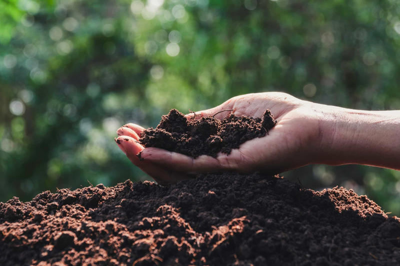 Earth signs Crop and soil monitoring, Spotting disease, Monitoring cattle, Accurate spraying, Automatic weeding, Aerial surveillance, Sorting crops, Overall potential, Exacerbate ownership concentration
