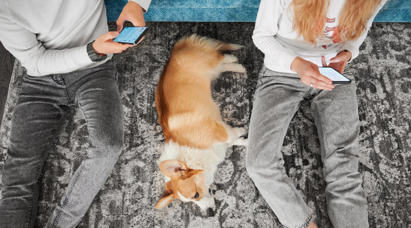 Patting your dog on top of the head, Leaving your dog alone, Boring your dog, Not sticking to a routine, Strong scents, Rushing your dog on walks, Ignoring your dog, Forcing your dog to interact, Leaving your dogs with too many other dogs, Loud noises, Brushing against the grain, Forcing them into uncomfortable situations, Vacuuming