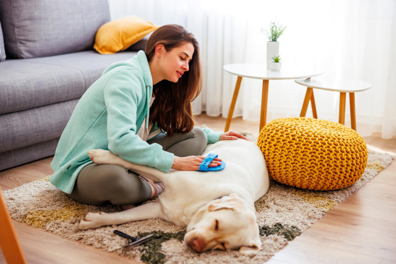 Patting your dog on top of the head, Leaving your dog alone, Boring your dog, Not sticking to a routine, Strong scents, Rushing your dog on walks, Ignoring your dog, Forcing your dog to interact, Leaving your dogs with too many other dogs, Loud noises, Brushing against the grain, Forcing them into uncomfortable situations, Vacuuming