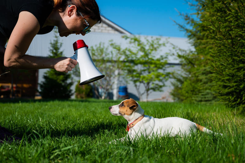 Patting your dog on top of the head, Leaving your dog alone, Boring your dog, Not sticking to a routine, Strong scents, Rushing your dog on walks, Ignoring your dog, Forcing your dog to interact, Leaving your dogs with too many other dogs, Loud noises, Brushing against the grain, Forcing them into uncomfortable situations, Vacuuming
