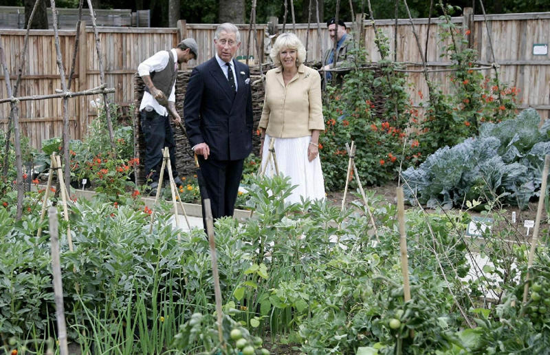 Right royal appetites, Prince Archie: American-style breakfast, Queen Camilla: raw peas, Queen Camilla: fish and chips, Queen Camilla: beans on toast, Princess Catherine: sticky toffee pudding, Princess Catherine: baking, Princess Catherine: bacon pizza, King Charles: organic food, King Charles: four-minute boiled eggs, King Charles: tea, King Charles: breakfast hampers, King Charles: pheasant crumble pie, Charles and Camilla: quiche, Charles and Camilla: homegrown produce, Princess Charlotte: olives, Queen Elizabeth II: chocolate, Queen Elizabeth II: afternoon tea, Queen Elizabeth II: steak, Queen Elizabeth II: dinner planned in advance, Queen Elizabeth II: mangoes, Queen Elizabeth II: Kate's chutney, Prince George: high-end school dinners, Prince George: spaghetti carbonara, Prince Harry: In-N-Out Burger, Prince Harry: banana bread, Harry and Meghan: roast chicken, Prince Louis: beetroot, Meghan Markle: poutine, Meghan Markle: pasta, Meghan Markle: single skillet spaghetti, Prince William: cheeky Nando's, Prince William: eco-friendly cooking, William and Harry: British classics, William and Kate: curry, William and Kate: seafood, The royal family: Victoria sponge, The royal family: locally sourced food