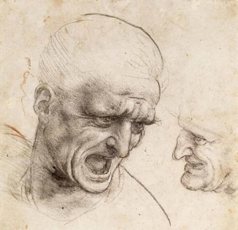 Sleep Growing up, Apprentice, Publishing, Experiments, Inventions, The heart, Discoveries, The 'Mona Lisa', 'Portrait of a Man in Red Chalk'