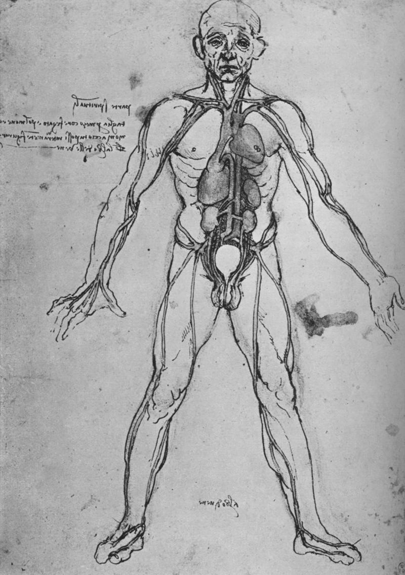Discoveries Growing up, Apprentice, Publishing, Experiments, Inventions, The heart, Discoveries, The 'Mona Lisa', 'Portrait of a Man in Red Chalk'