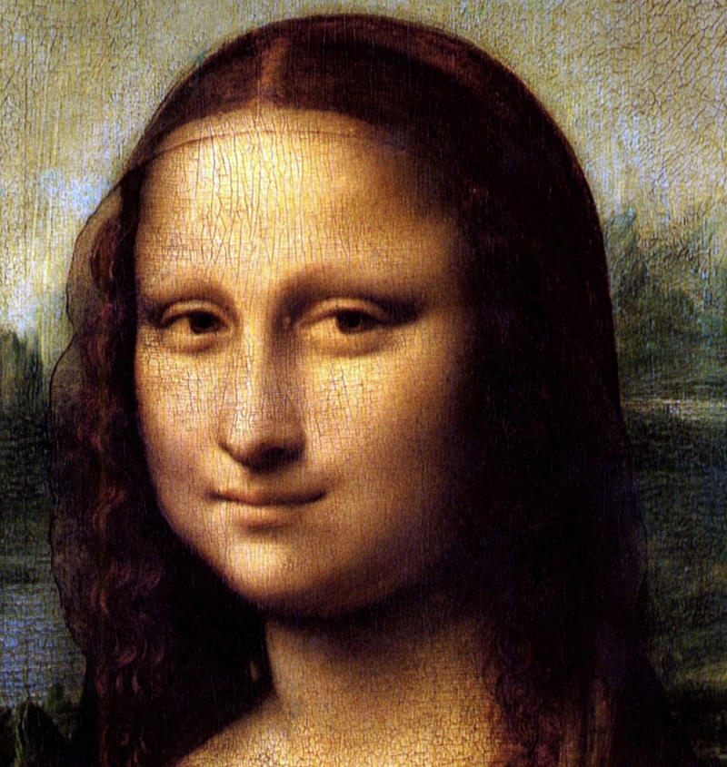 The 'Mona Lisa' Growing up, Apprentice, Publishing, Experiments, Inventions, The heart, Discoveries, The 'Mona Lisa', 'Portrait of a Man in Red Chalk'