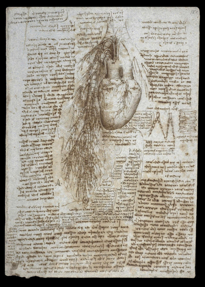 The heart Growing up, Apprentice, Publishing, Experiments, Inventions, The heart, Discoveries, The 'Mona Lisa', 'Portrait of a Man in Red Chalk'