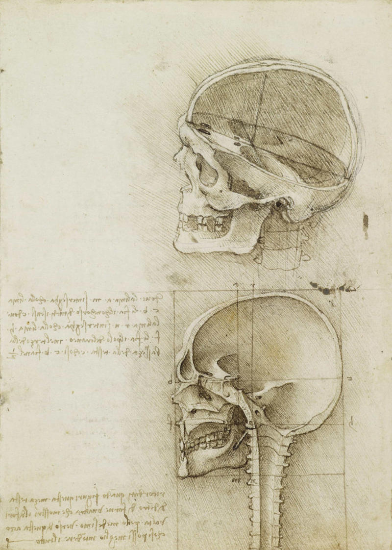 Anatomy Growing up, Apprentice, Publishing, Experiments, Inventions, The heart, Discoveries, The 'Mona Lisa', 'Portrait of a Man in Red Chalk'