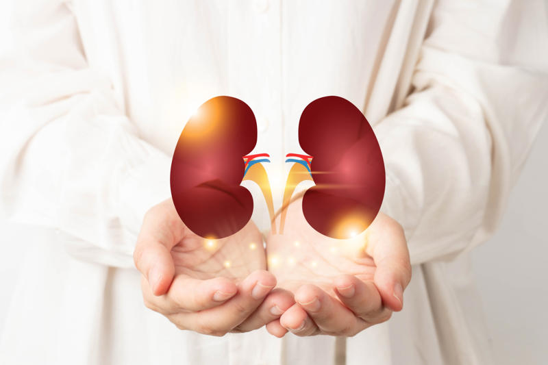 How they work What are the kidneys?, How they work, Promoting a healthy body, Bloodwork, Where are the kidneys?, How kidneys are nourished, How to maintain healthy kidneys, Whole grain high-fiber foods, Limit alcohol intake, Get enough sleep, Underlying health issues, Beware of blood in urine, Kidney disease, Kidney transplant statistics, Simple blood test