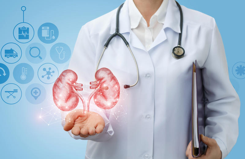 How to maintain healthy kidneys What are the kidneys?, How they work, Promoting a healthy body, Bloodwork, Where are the kidneys?, How kidneys are nourished, How to maintain healthy kidneys, Whole grain high-fiber foods, Limit alcohol intake, Get enough sleep, Underlying health issues, Beware of blood in urine, Kidney disease, Kidney transplant statistics, Simple blood test