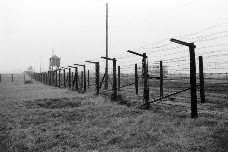 By then, several concentration camps had already been liberated The day Hitler died, The Red Army was advancing on Berlin, The death of Mussolini affected Hitler, A notary was present, Last goodbyes, Hitler wanted to set an example, Hitler expelled several of his men before he died, Hitler's remains, By then, several concentration camps had already been liberated, Germany was in ruins, The Cold War had already begun, German scientists were getting ready to flee