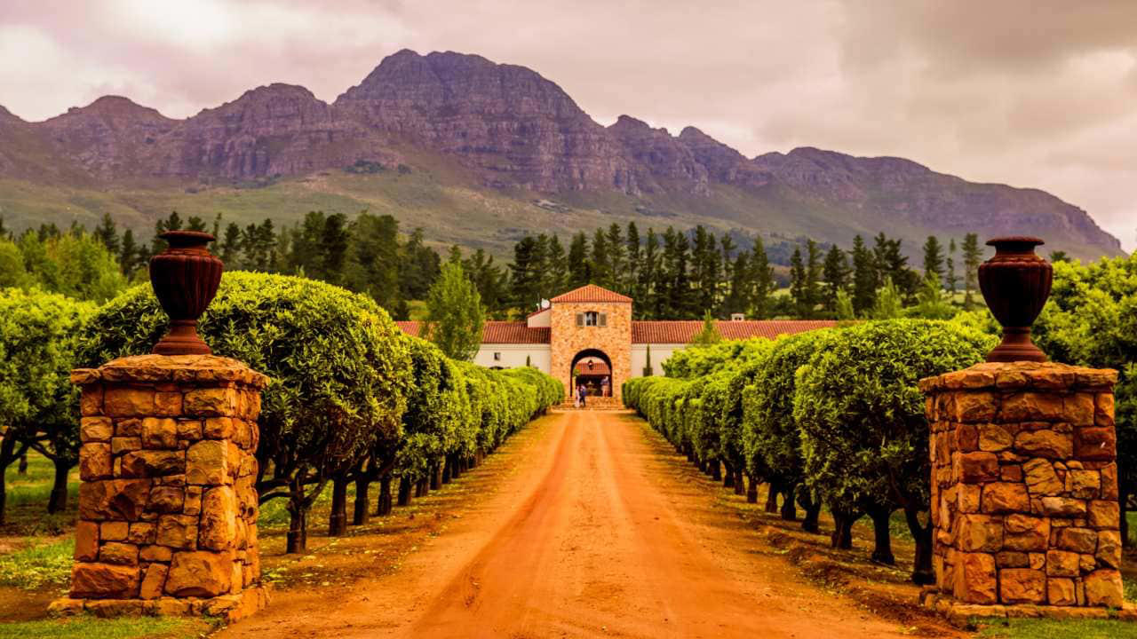 Stellenbosch, South Africa: It offers bold reds such as Pinotage and Cabernet Sauvignon, Stellenbosch is a prominent wine region in South Africa. In addition to enjoying wine amidst the stunning mountain views, you can also go horseback riding through vineyards. (Image: Shutterstock)