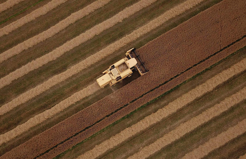 Combine harvester, England, UK High art, Mountain pass, Romania, Tulip fields, the Netherlands, Mine in Xinjiang, China, Ice sheet, Greenland, Lluta River, Chile, The Dead Sea, Israel and Jordan, Terraced rice fields, Vietnam, Bangkok interchange, Thailand, Pink Lake, Western Australia, Australia, The Great Barrier Reef, Queensland, Australia, Container port, California, USA, A solar farm, California, USA, Farmland, Kazakhstan, Staircase in the Vatican Museums, Italy, Hallstatt in winter, Austria, The Nile, Egypt, Ratchada Train Market, Thailand, Chalk Horse, England, UK, Jodhpur, India, Okavango Delta, Botswana, Tuscan countryside, Italy, John Deere tractor, Italy, The Nazca Lines, Peru, Yellowstone National Park, Wyoming, USA, Abandoned Housing Development, Arizona, USA, Holmes Beach on Anna Maria Island, Florida, USA, Orchard near Siem Reap, Cambodia, Sand dune in the Namib Desert, Namibia, Salt lakes in China's Shanxi Province, Combine harvester, England, UK, Laguna Rosa, Spain, Haida Gwaii, British Columbia, Canada