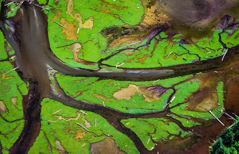 Haida Gwaii, British Columbia, Canada High art, Mountain pass, Romania, Tulip fields, the Netherlands, Mine in Xinjiang, China, Ice sheet, Greenland, Lluta River, Chile, The Dead Sea, Israel and Jordan, Terraced rice fields, Vietnam, Bangkok interchange, Thailand, Pink Lake, Western Australia, Australia, The Great Barrier Reef, Queensland, Australia, Container port, California, USA, A solar farm, California, USA, Farmland, Kazakhstan, Staircase in the Vatican Museums, Italy, Hallstatt in winter, Austria, The Nile, Egypt, Ratchada Train Market, Thailand, Chalk Horse, England, UK, Jodhpur, India, Okavango Delta, Botswana, Tuscan countryside, Italy, John Deere tractor, Italy, The Nazca Lines, Peru, Yellowstone National Park, Wyoming, USA, Abandoned Housing Development, Arizona, USA, Holmes Beach on Anna Maria Island, Florida, USA, Orchard near Siem Reap, Cambodia, Sand dune in the Namib Desert, Namibia, Salt lakes in China's Shanxi Province, Combine harvester, England, UK, Laguna Rosa, Spain, Haida Gwaii, British Columbia, Canada
