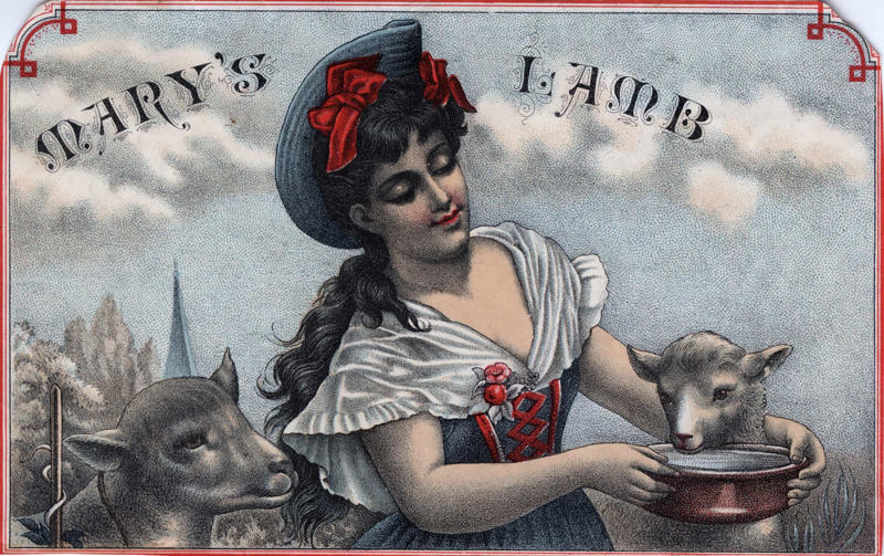 'Mary Had a Little Lamb' is based on a true story Pope Gregory IX deemed cats evil, 'Mary Had a Little Lamb' is based on a true story, Human alarm clocks, Heroin was used to treat children’s cough, Swearing parrot, Sacrilegious forks, Mary Shelley kept her dead husband's heart, Romans would use urine as mouthwash, Peter the Great made his cheating wife feel guilty every day, Toilet meetings, Albert Einstein could have been president of Israel, A double agent was awarded by both the Allies and Axis powers, Raising of Chicago