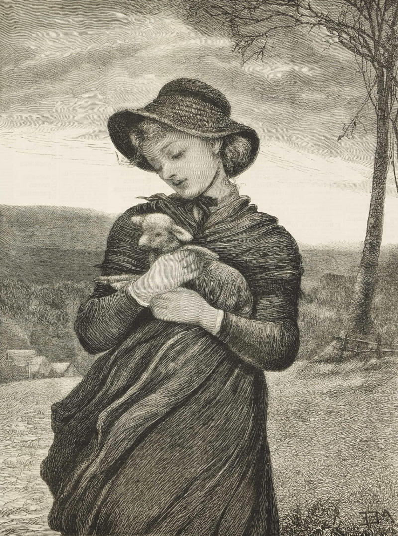 'Mary Had a Little Lamb' is based on a true story Pope Gregory IX deemed cats evil, 'Mary Had a Little Lamb' is based on a true story, Human alarm clocks, Heroin was used to treat children’s cough, Swearing parrot, Sacrilegious forks, Mary Shelley kept her dead husband's heart, Romans would use urine as mouthwash, Peter the Great made his cheating wife feel guilty every day, Toilet meetings, Albert Einstein could have been president of Israel, A double agent was awarded by both the Allies and Axis powers, Raising of Chicago