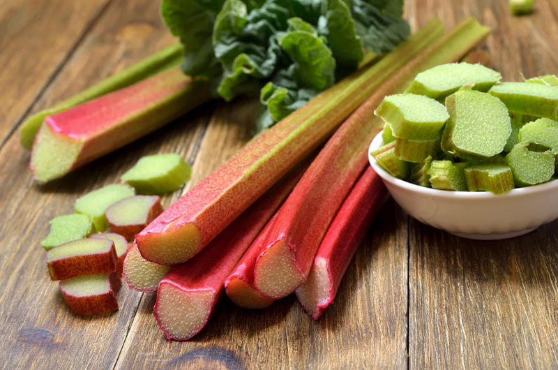 Rhubarb Iron vitamins, Avocados, Cooked bones, Grapes and raisins, Caffeine, Wild mushrooms, Cat food, Black walnuts, Cherries