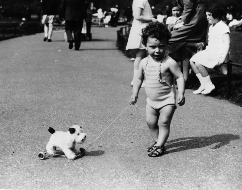 Practice makes perfect Full house, How much are those doggies in the window?, Practice makes perfect, Man's best friend, Sitting high, Great Plains puppy, Gone fishing, A concerned mother, The dynamic duo, Every boy's dream, Fox terrier family, A watchful protector, A day at the salon, Kings of the street