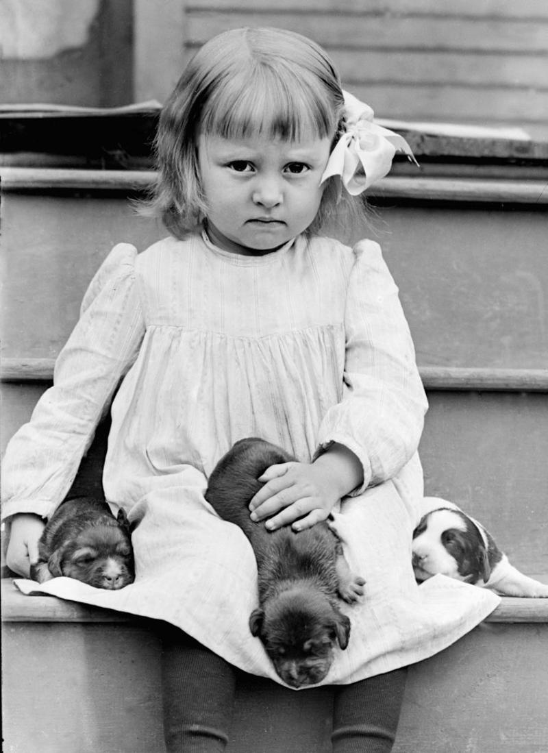A concerned mother Full house, How much are those doggies in the window?, Practice makes perfect, Man's best friend, Sitting high, Great Plains puppy, Gone fishing, A concerned mother, The dynamic duo, Every boy's dream, Fox terrier family, A watchful protector, A day at the salon, Kings of the street