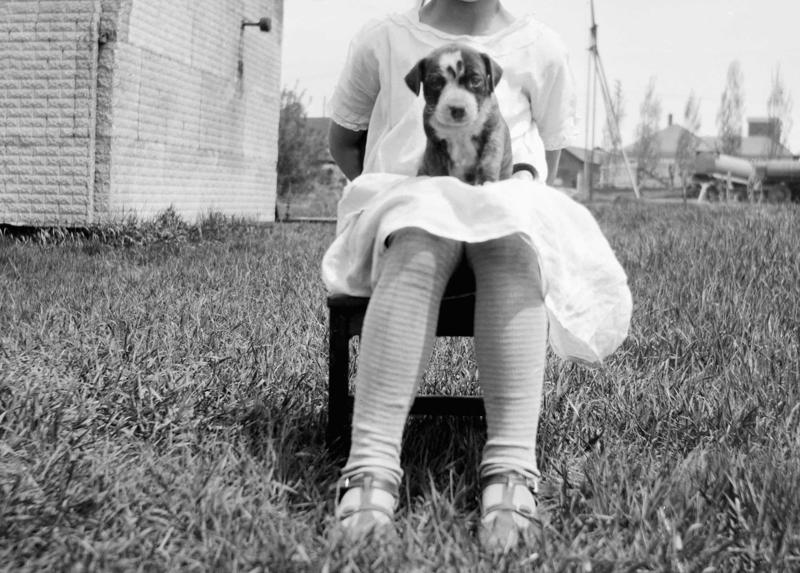 Sitting high Full house, How much are those doggies in the window?, Practice makes perfect, Man's best friend, Sitting high, Great Plains puppy, Gone fishing, A concerned mother, The dynamic duo, Every boy's dream, Fox terrier family, A watchful protector, A day at the salon, Kings of the street