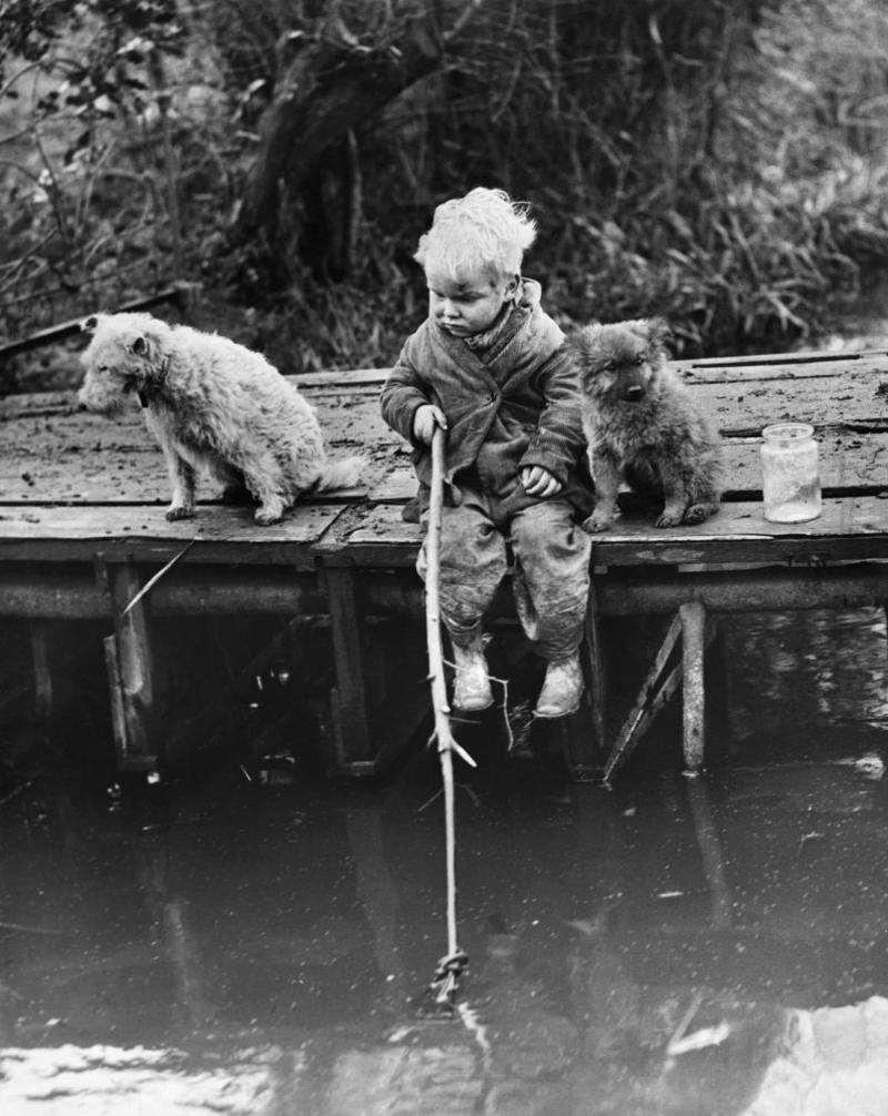 Gone fishing Full house, How much are those doggies in the window?, Practice makes perfect, Man's best friend, Sitting high, Great Plains puppy, Gone fishing, A concerned mother, The dynamic duo, Every boy's dream, Fox terrier family, A watchful protector, A day at the salon, Kings of the street
