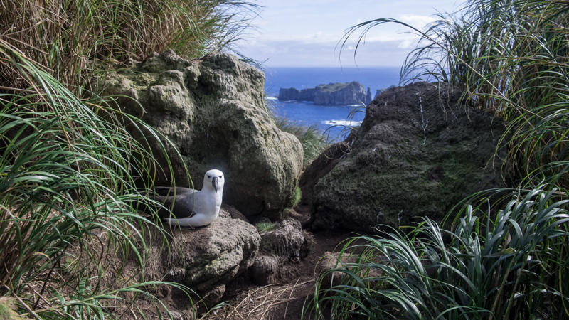 Bantam Village, Australia, Faroe Islands, Cape York Peninsula, Australia, Tristan da Cunha, British Overseas Territory, Laura, Marshall Islands, Kerguelen Islands, French Antarctica, Vestmannaeyjar, Iceland, Foula, Scotland, Adak, USA, Ittoqqortoormiit, Greenland, Hanga Roa, Chile, Supai, USA, La Rinconada, Peru, Skeleton Coast, Namibia, McMurdo Station, Antarctica