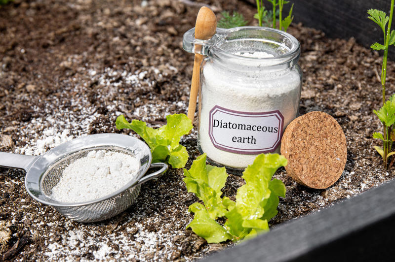 Diatomaceous earth Bee venom, Bird poop, Fish scales, Foreskin, Diamonds, Placenta, Horse oil, Sperm whales' vomit, Wool grease, Volcanic rock, Diatomaceous earth, Chilly peppers, Breast milk, Salmon eggs, Red algae