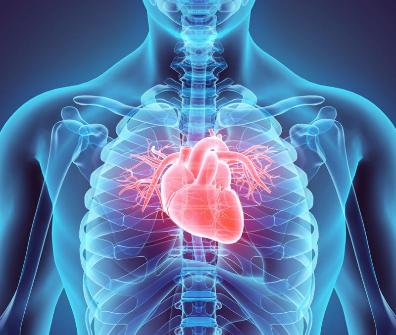 Cardiovascular deconditioning Muscle atrophy, Fluid redistribution, Peripheral edema, Cardiovascular deconditioning, Radiation exposure, Immune system reactivation, Vestibular system adaptations, Dental health issues, Microbial changes, Decompression sickness, Weight loss, Hearing loss, Decreased lung function