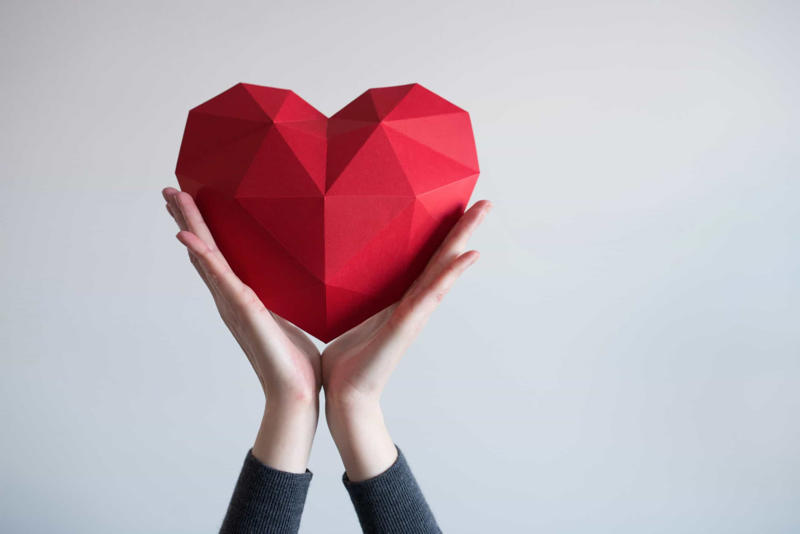 Attraction: dopamine Why we fall in love, Three stages of falling in love, Attraction, Reward system, Attraction: adrenaline, Attraction: dopamine, Attraction: serotonin, Attachment: oxytocin, Attachment: vasopressin, Love hurts, When the cocktail goes wrong