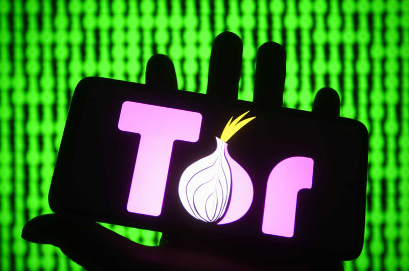 The Tor Browser was a government project Layers of the internet, What is the deep web?, How big is the deep web?, What is the dark web?, The limitations of search engines, The Tor Browser was a government project, A haven for scammers, Access to banned literature, Filled with viruses, The Hidden Wiki, The Silk Road, A black market for drugs and weapons, Identity theft, The spirit marketplace, Mariana's web