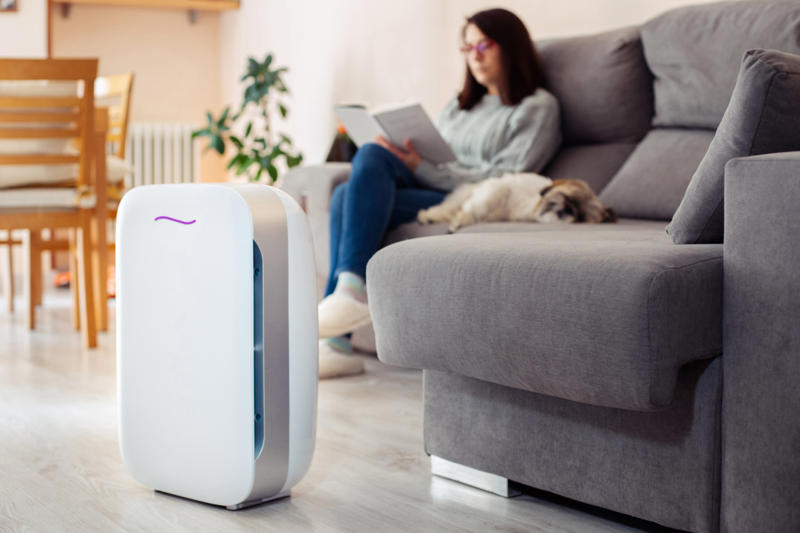 Remove pet odors from the air What is pet smell, exactly?, Dog smell, Dog odors are by design, You'll need to clean more often than people who don't have pets, Some dog smells indicate health problems, Baking soda, Couches and upholstery, Leather furniture, Remove pet odors from the air, Use a diffuser, Get rid of dog mess smells, Bathe and groom your dog regularly, Keep up with your dog’s hygiene, Wash your dog's items, Create a relaxed environment, How to get rid of wet dog smell without a bath, Increase airflow, Get an odor-free litter box, Groom your cat, Keep an odor-free cage, Why is cat smell so hard to remove?, Try enzymatic cleaners, Never mix hydrogen peroxide and vinegar to treat a stain, Try placing charcoal bags around your home
