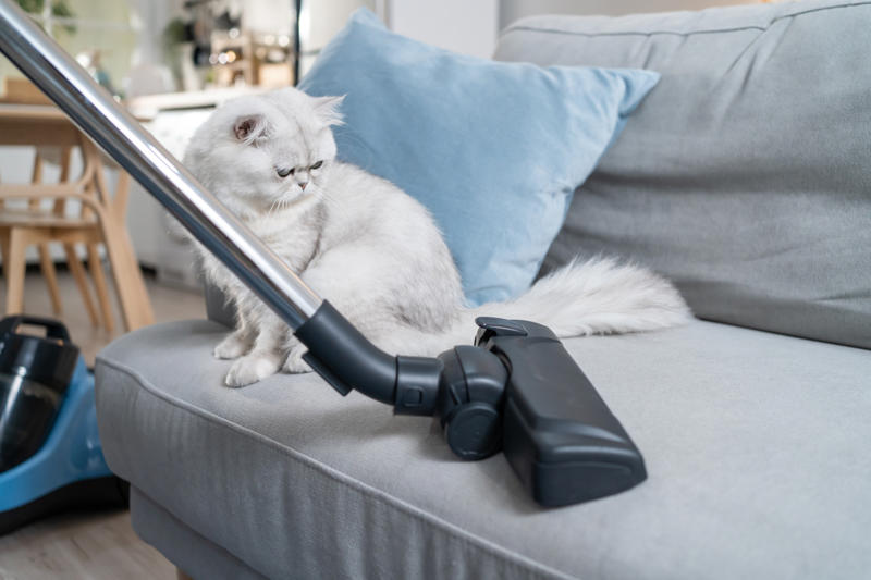You'll need to clean more often than people who don't have pets What is pet smell, exactly?, Dog smell, Dog odors are by design, You'll need to clean more often than people who don't have pets, Some dog smells indicate health problems, Baking soda, Couches and upholstery, Leather furniture, Remove pet odors from the air, Use a diffuser, Get rid of dog mess smells, Bathe and groom your dog regularly, Keep up with your dog’s hygiene, Wash your dog's items, Create a relaxed environment, How to get rid of wet dog smell without a bath, Increase airflow, Get an odor-free litter box, Groom your cat, Keep an odor-free cage, Why is cat smell so hard to remove?, Try enzymatic cleaners, Never mix hydrogen peroxide and vinegar to treat a stain, Try placing charcoal bags around your home