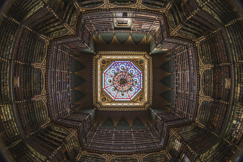 Joanina Library, Portugal, The Royal Portuguese Cabinet of Reading, Brazil, Library of the National Palace of Mafra, Portugal, Beitou Library, Taiwan, El Escorial, Spain, Stuttgart Library, Germany, Bibliotheca Alexandrina, Egypt, Biblioteca Vasconcelos, Mexico, Trinity College Library, Ireland, Clementinum Library, Czech Republic, Admont Abbey Library, Austria, John Rylands University Library, England, Musashino Art University Library, Japan, Stockholm Public Library, Sweden, Cuypers Library, the Netherlands, New York Public Library, United States, George Peabody Library, United States