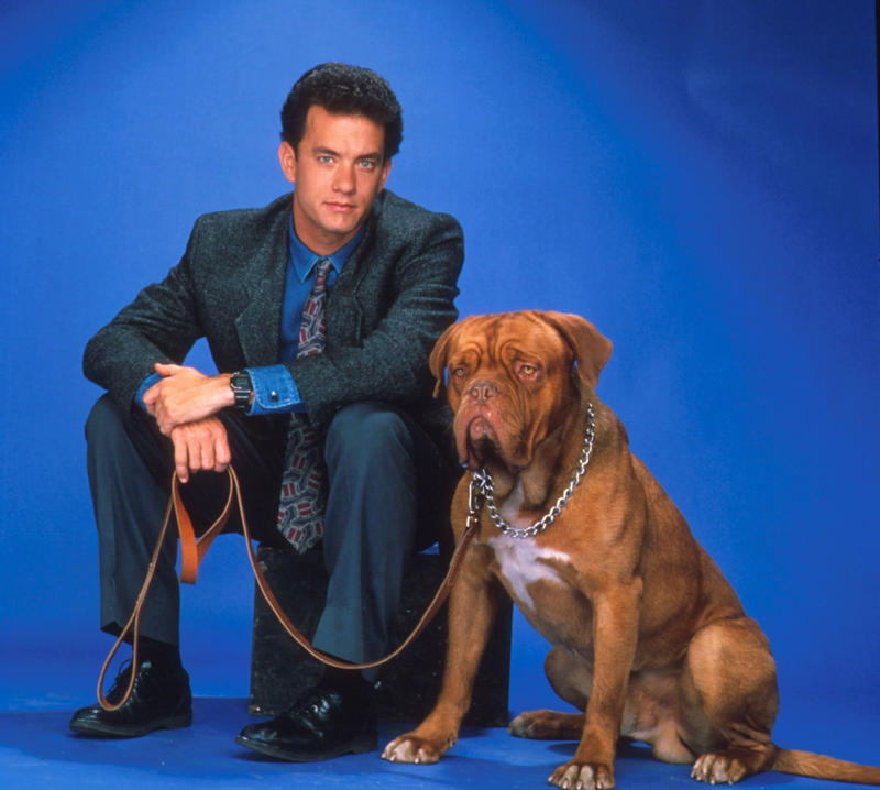 'Turner & Hooch' (1989) 'Friends With Benefits' (2011), 'No Strings Attached' (2011), 'The Prestige' (2006), 'Turner & Hooch' (1989), 'K-9' (1989), 'Mirror Mirror' (2012), 'Snow White And The Huntsman' (2012), 'A Bug's Life' (1998), 'Olympus Has Fallen' (2013), 'Volcano' (1997), 'Captain America: Civil War' (2016), 'Red Planet' (2000), 'Deep Impact' (1998), 'The Matrix' (1999), 'The World's End' (2013), 'Capote' (2005), 'The Truman Show' (1998), 'Tombstone' (1993), 'Wyatt Earp' (1994), 'Jobs' (2013)