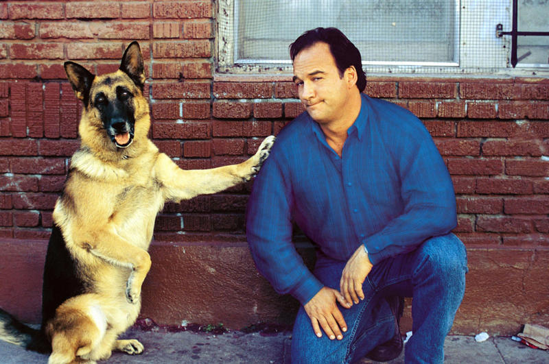 'K-9' (1989) 'Friends With Benefits' (2011), 'No Strings Attached' (2011), 'The Prestige' (2006), 'Turner & Hooch' (1989), 'K-9' (1989), 'Mirror Mirror' (2012), 'Snow White And The Huntsman' (2012), 'A Bug's Life' (1998), 'Olympus Has Fallen' (2013), 'Volcano' (1997), 'Captain America: Civil War' (2016), 'Red Planet' (2000), 'Deep Impact' (1998), 'The Matrix' (1999), 'The World's End' (2013), 'Capote' (2005), 'The Truman Show' (1998), 'Tombstone' (1993), 'Wyatt Earp' (1994), 'Jobs' (2013)