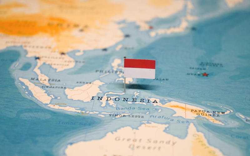 4. Indonesia (0.13%) 19. Gabon (18.7%), 17. Germany (20%), 15. Kazakhstan (20%), 13. Israel (23%), 11. Switzerland (27% ), 9. Australia (30%), 7. Oman (39%), 5. Singapore (43%), 3. Kuwait (69%), 1. United Arab Emirates (88%), 10. Philippines (0.21%), 8. North Korea (0.19%), 6. Myanmar (0.14%), 4. Indonesia (0.13%), 3. Vietnam (0.08%), 2. China (0.07%)