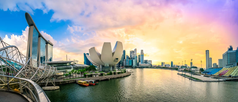 5. Singapore (43%) 19. Gabon (18.7%), 17. Germany (20%), 15. Kazakhstan (20%), 13. Israel (23%), 11. Switzerland (27% ), 9. Australia (30%), 7. Oman (39%), 5. Singapore (43%), 3. Kuwait (69%), 1. United Arab Emirates (88%), 10. Philippines (0.21%), 8. North Korea (0.19%), 6. Myanmar (0.14%), 4. Indonesia (0.13%), 3. Vietnam (0.08%), 2. China (0.07%)