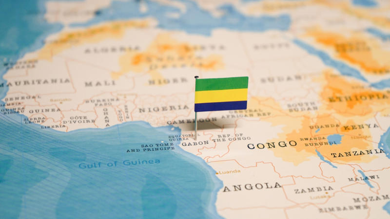 19. Gabon (18.7%) 19. Gabon (18.7%), 17. Germany (20%), 15. Kazakhstan (20%), 13. Israel (23%), 11. Switzerland (27% ), 9. Australia (30%), 7. Oman (39%), 5. Singapore (43%), 3. Kuwait (69%), 1. United Arab Emirates (88%), 10. Philippines (0.21%), 8. North Korea (0.19%), 6. Myanmar (0.14%), 4. Indonesia (0.13%), 3. Vietnam (0.08%), 2. China (0.07%)