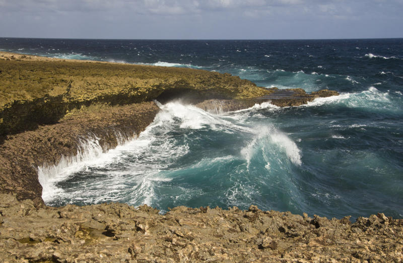 Antigua and Barbuda, The Bahamas, Barbados, Cabo Verde, Costa Rica, Czech Republic, Dominica, Mauritius, Montserrat, Portugal, Seychelles