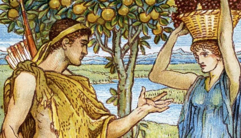 Who was Hercules?, The birth of Hercules, Hera's wrath, Hercules' madness, Hercules consults the oracle, One: The Nemean lion, Two: The Lernean hydra, Three: The golden hind, Four: The Erymanthian boar, Five: The stables of King Augeas, Six: The Stymphalian birds, Seven: The Cretan bull, Eight: The mares of Diomedes, Nine: The belt of Hippolyta, Ten: The cattle of Geryon, Eleven: The golden apples of Hesperides